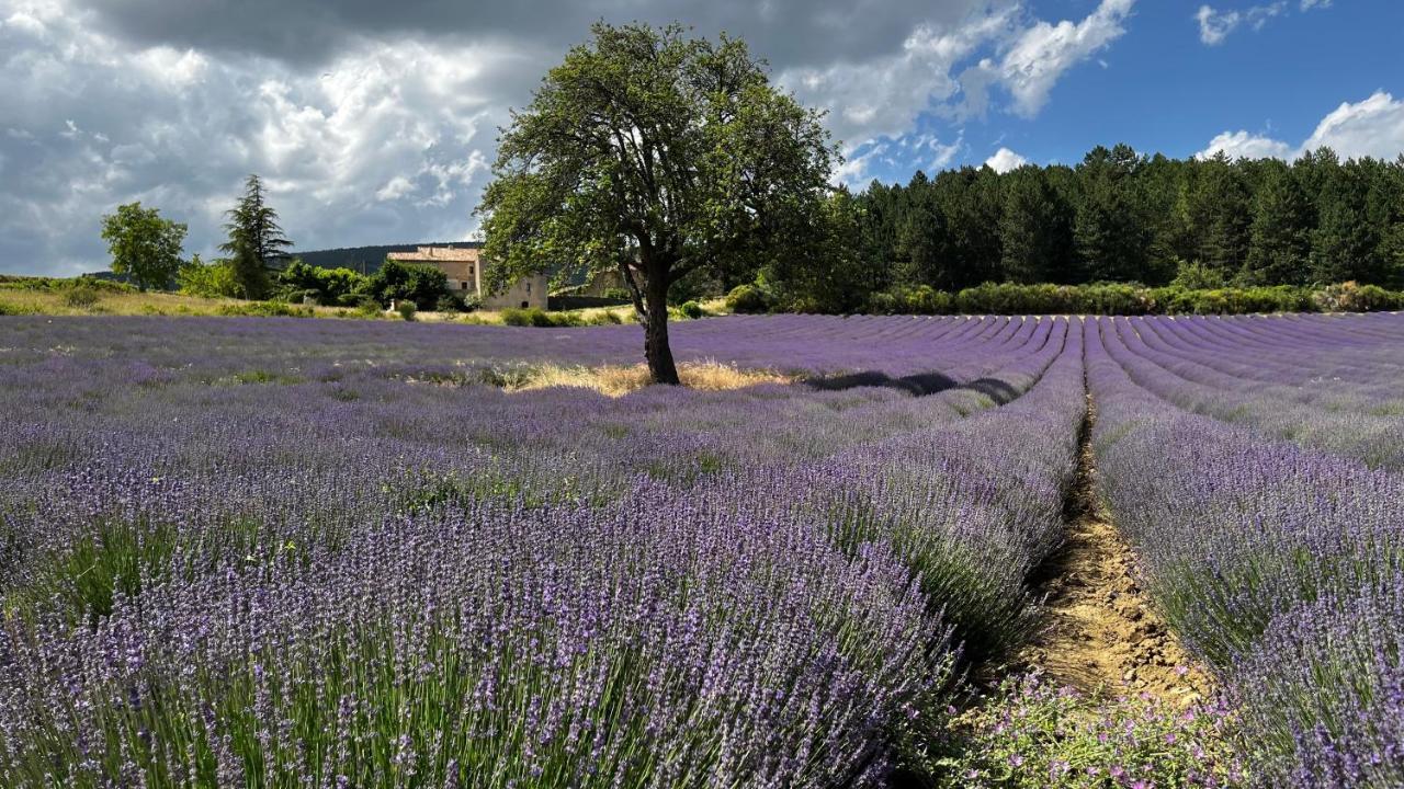 مبيت وإفطار Piolenc Santolines En Provence المظهر الخارجي الصورة