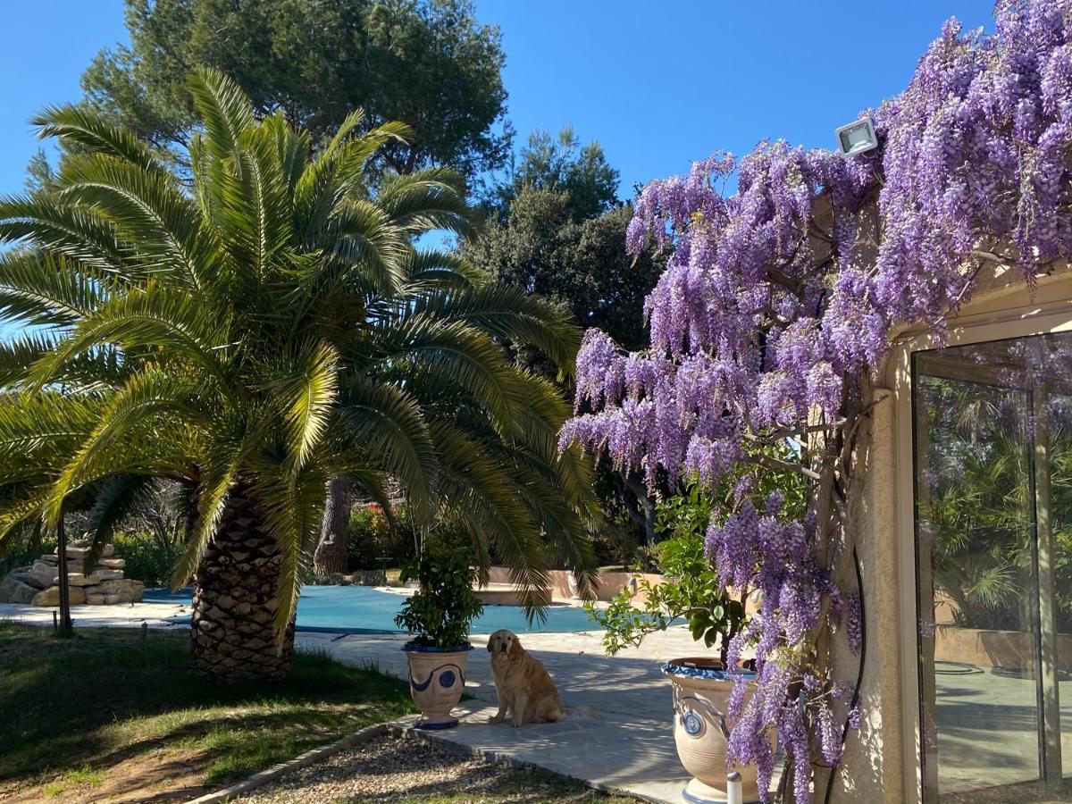 مبيت وإفطار Piolenc Santolines En Provence المظهر الخارجي الصورة